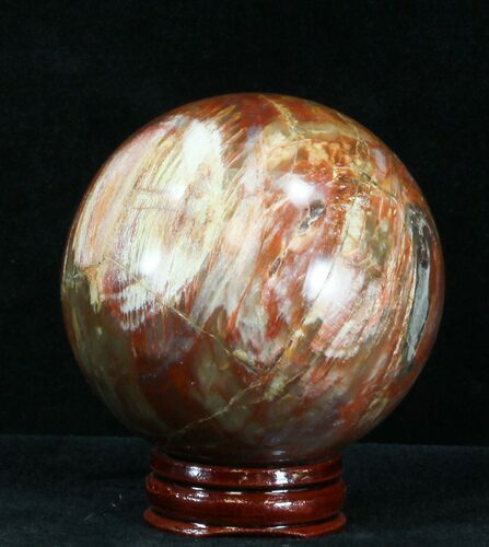 Colorful Petrified Wood Sphere #30361